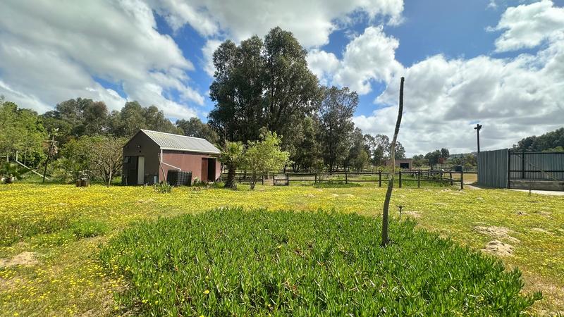 7 Bedroom Property for Sale in Dassenberg Western Cape